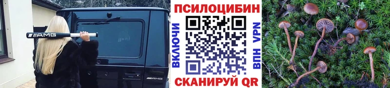 Псилоцибиновые грибы GOLDEN TEACHER закладки mega ссылки Фокино